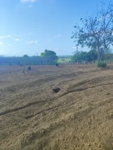 Fazenda/Sítio com 3 Quartos à venda, 3600m² no , Monte Alegre