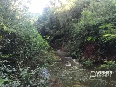 Fazenda/Sítio com 1 Quarto à venda, 3000m² no Vera Cruz, Sarandi