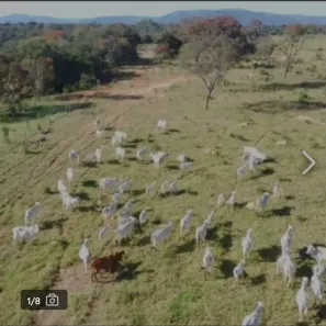 Fazenda/Sítio à venda, 128000m² no , Água Fria de Goiás