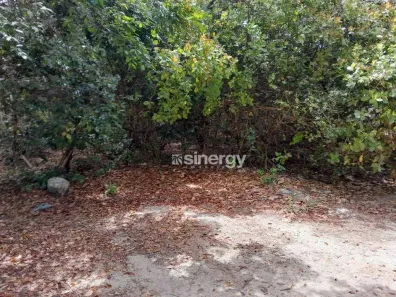 Lote/Terreno à venda, 704m² no Praia da Pipa, Tibau do Sul