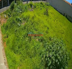 Lote/Terreno à venda, 343m² no Jardim Pacaembu, São Carlos