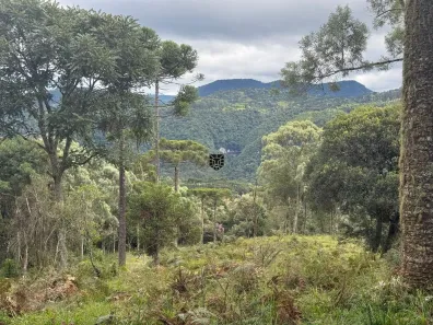 Fazenda/Sítio à venda, 22000m² no Águas Brancas, Urubici