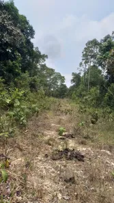 Lote/Terreno à venda, 120000m² no Área Rural de Manaus, Manaus