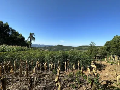 Lote/Terreno à venda, 50m² no Nova Petrópolis, Nova Petrópolis