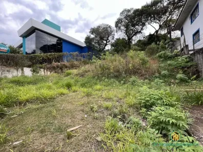 Lote/Terreno para alugar, 1319m² no Parque São George, Cotia