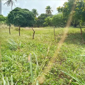 Fazenda/Sítio com 3 Quartos à venda, 2600000m² no , Rio do Fogo