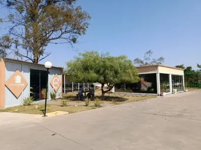 Apartamento com 2 Quartos para venda ou aluguel, 46m² no Aparecidinha, Sorocaba