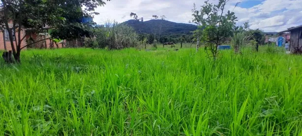 Lote/Terreno à venda, 5280m² no Ratones, Florianópolis