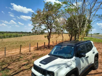 Fazenda/Sítio com 2 Quartos à venda, 592900m² no , Nhandeara