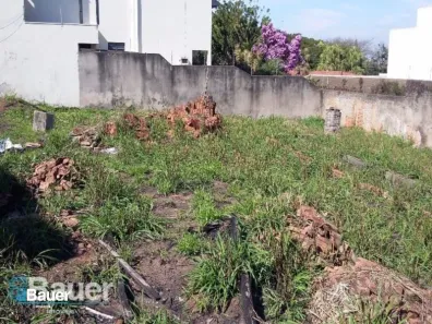 para alugar, 828m² no Jardim das Paineiras, Campinas