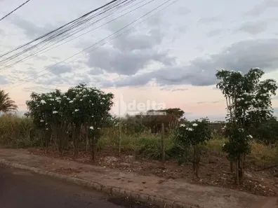 Lote/Terreno à venda, 432m² no Cidade Jardim, Uberlândia