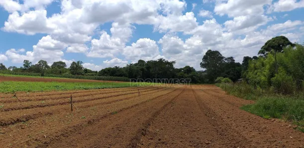 Lote/Terreno à venda, 822000m² no Água Espraiada (Caucaia do Alto), Cotia