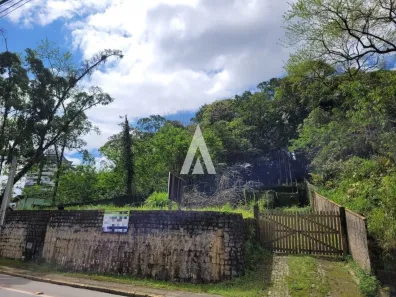 Lote/Terreno à venda, 590m² no Anita Garibaldi, Joinville