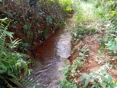 Lote/Terreno à venda, 6000m² no Souza, Rio Manso