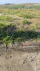 Lote/Terreno à venda, 150m² no Tijuco Preto, Caçapava