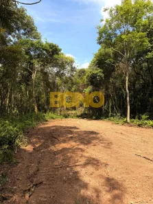 Fazenda/Sítio à venda, 25000m² no Cidade Nova, Caxias do Sul