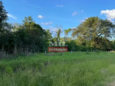 Fazenda/Sítio à venda, 500m² no , Cocalinho