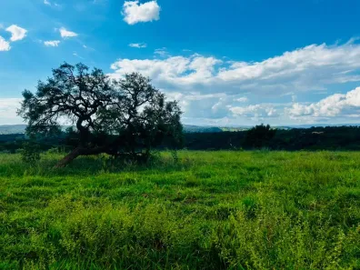 Lote/Terreno à venda, 25953m² no Pinhões, Santa Luzia