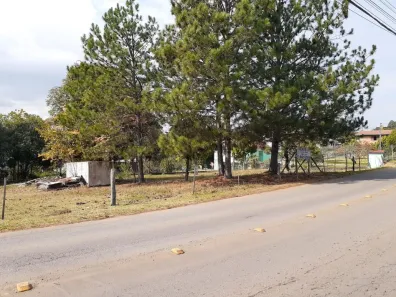 Lote/Terreno à venda, 1375m² no São Luiz, Caxias do Sul
