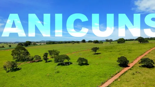 Fazenda/Sítio com 4 Quartos à venda, 3000m² no , Anicuns