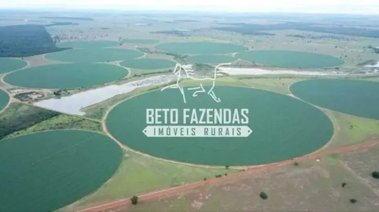 Fazenda/Sítio à venda, 49222800m² no , Jussara