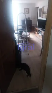 Apartamento com 2 Quartos à venda, 50m² no Vila Água Funda, São Paulo