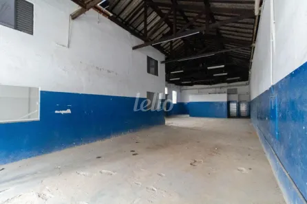 Galpão/Depósito/Armazém para alugar, 250m² no Vila Maria, São Paulo