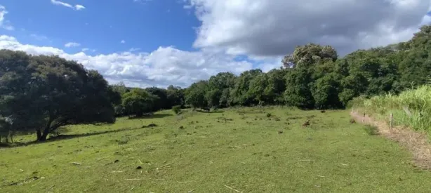 Fazenda/Sítio à venda, 60000m² no , Rolante