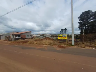Lote/Terreno à venda, 300m² no Cará-cará, Ponta Grossa