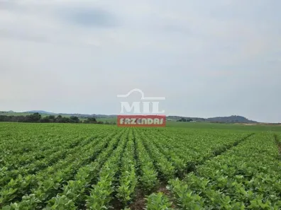 Fazenda/Sítio à venda, 500m² no , Santana do Araguaia
