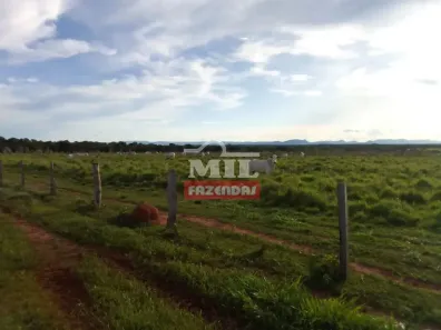 Fazenda/Sítio à venda, 500m² no , Taguatinga
