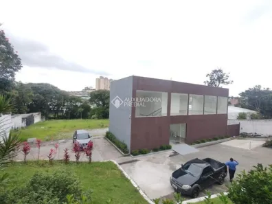 Ponto Comercial para alugar, 276m² no Alves Dias, São Bernardo do Campo