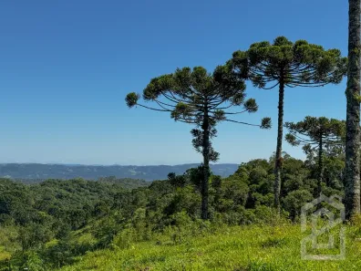 Lote/Terreno à venda, 121221m² no Rancho Queimado, Rancho Queimado