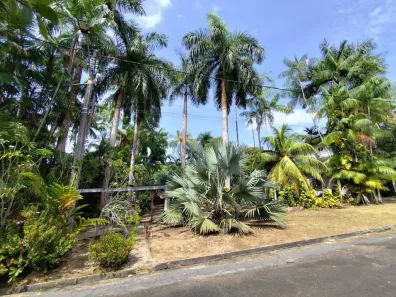 Casa de Condomínio com 4 Quartos à venda, 2100m² no Tarumã-Açu, Manaus