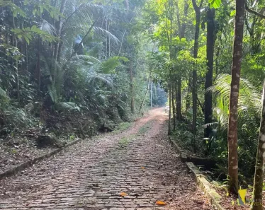 Lote/Terreno à venda, 800m² no Félix, Ubatuba