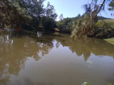 Fazenda/Sítio à venda, 42768m² no , São Luiz do Paraitinga
