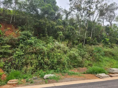 Lote/Terreno à venda, 452m² no Salvaterra, Juiz de Fora