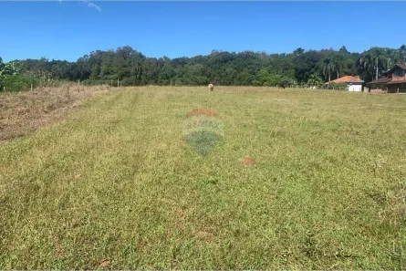 Fazenda/Sítio à venda, 40000m² no Alto Paredão, Santa Cruz do Sul