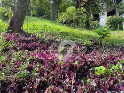 Lote/Terreno à venda, 560m² no Serra Grande, Niterói