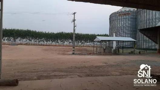 Fazenda/Sítio com 3 Quartos à venda, 49937m² no Nova Ubiratã, Nova Ubiratã