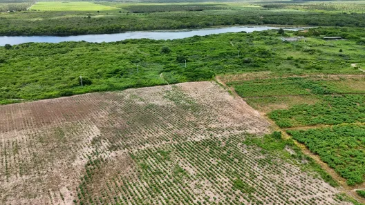Fazenda/Sítio com 4 Quartos à venda, 1700000m² no , Touros