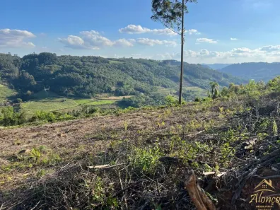 Lote/Terreno à venda, 20000m² no Pinhal Alto, Nova Petrópolis