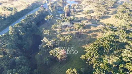 Lote/Terreno à venda, 32628m² no Campo Alegre, Campo Alegre