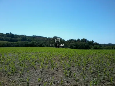 Fazenda/Sítio com 1 Quarto à venda, 95000m² no Camobi, Santa Maria