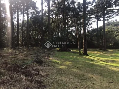 Lote/Terreno à venda, 750m² no , Canela