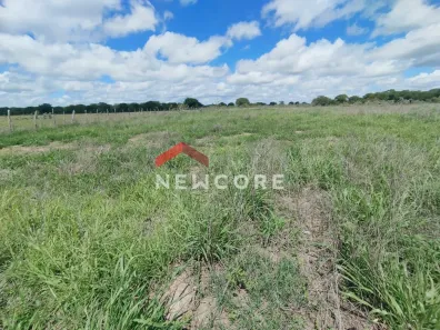Fazenda/Sítio à venda, 120000m² no , São Sebastião do Passé