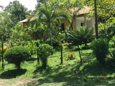 Fazenda/Sítio à venda, 14700m² no Centro, Tanguá