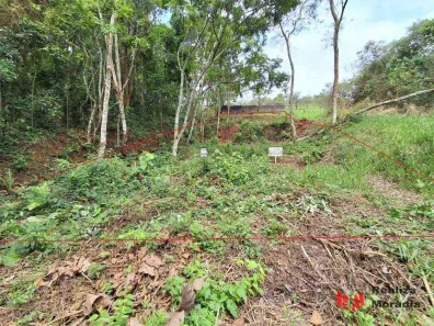 Lote/Terreno à venda, 555m² no Jardim Barbacena, Cotia