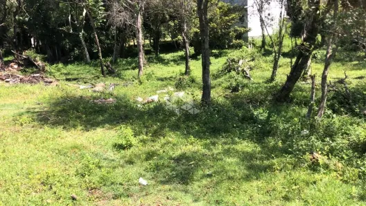 Lote/Terreno à venda, 1200m² no Encantada, Garopaba