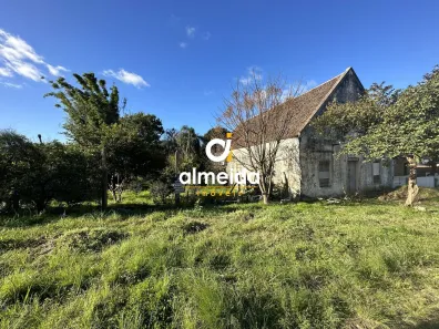 Lote/Terreno à venda, 5000m² no Nossa Senhora das Dores, Santa Maria